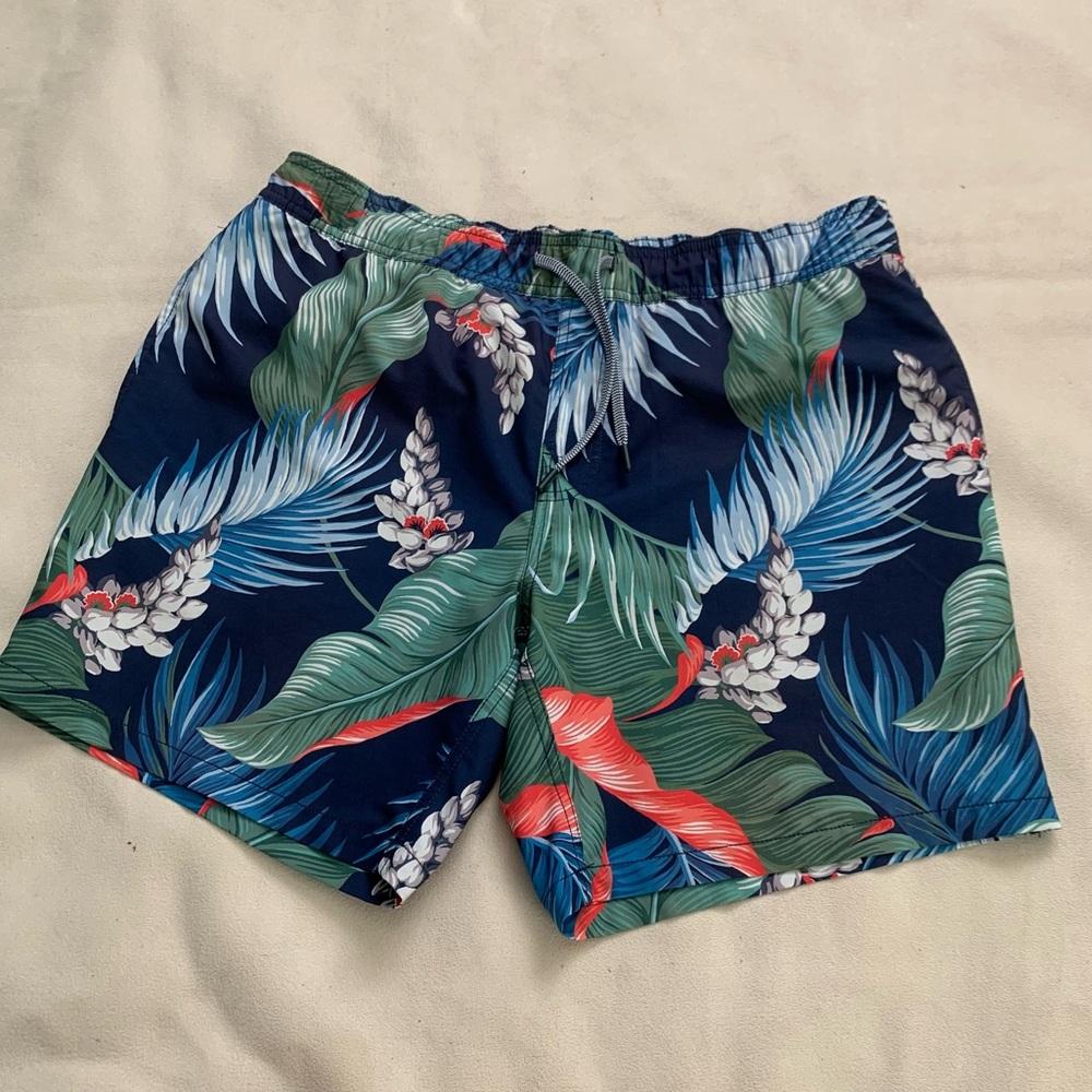 Reyn Spooner Blue and Green Tropical Men's Shorts